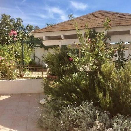 Superbe Appartement En Residence Avec Patio Вільнев-ле-Маґлон Екстер'єр фото