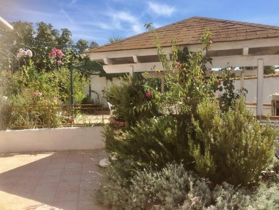 Superbe Appartement En Residence Avec Patio Вільнев-ле-Маґлон Екстер'єр фото